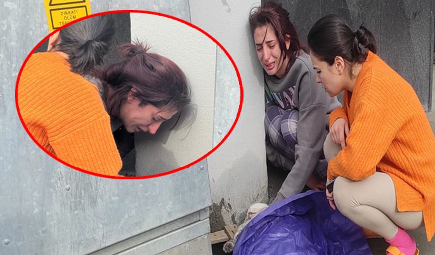 Kedi 'Sütlaç' için zamanla yarış!