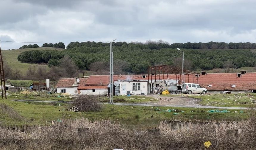 Çiftlikte 'Teksas Katliamı' filmini hatırlatan dehşet