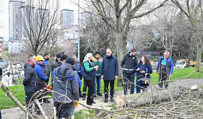 Gaziosmanpaşa bu böceğe karşı savaş başlattı