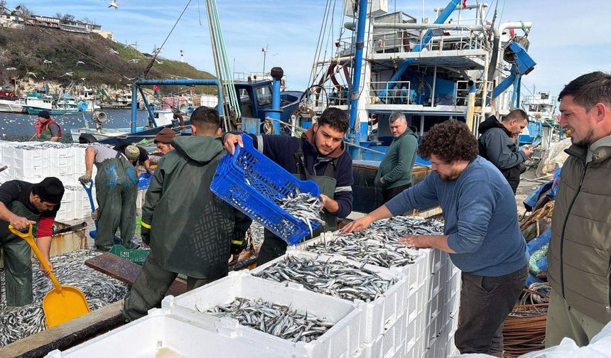 6 saatte 30 ton hamsi ile limana dönüldü