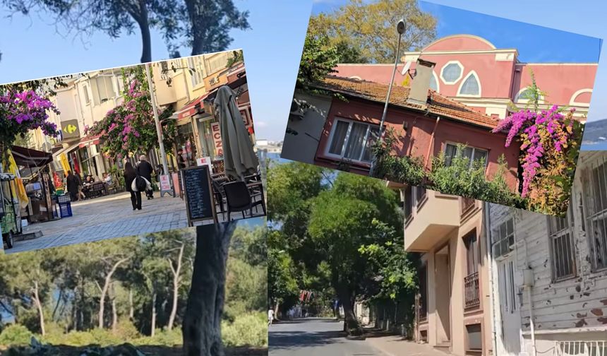 İstanbul’un hafızası: Adalarda hayat var!