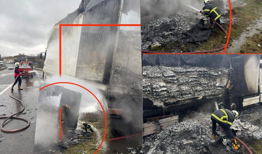 İstanbul’a gelen hamsi yüklü TIR alev alev yandı!