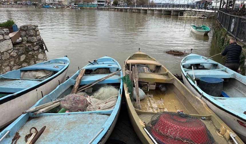 İstila etti çoğaldı, yayıldı; balıkçılara gelir kaynağı oldu