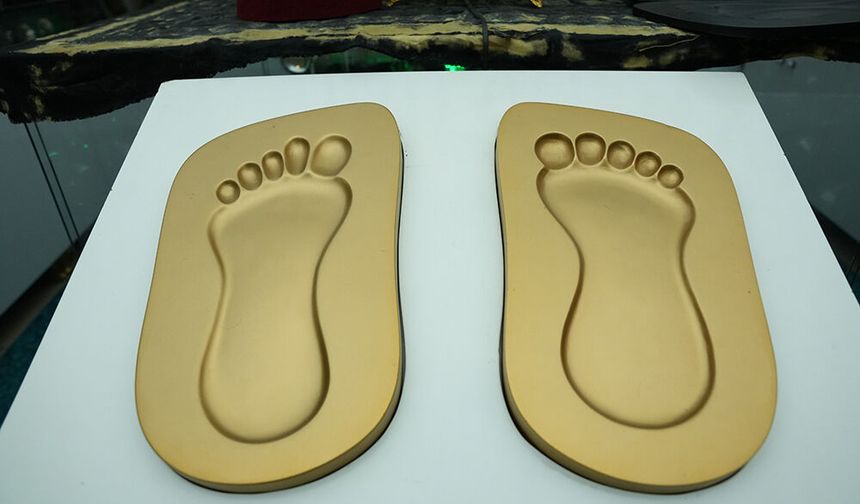 40 binden fazla Mukaddes Emanet'e gönüllü bakım