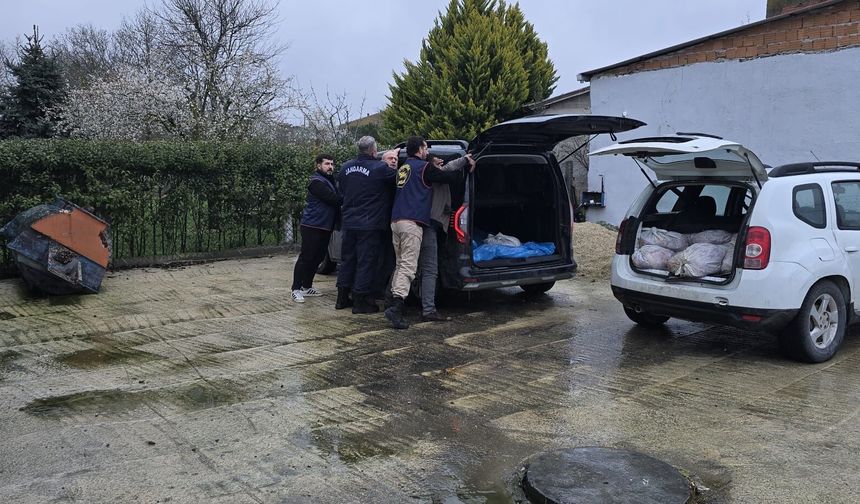 Silivri'de satışa hazır 306 at eti yakalandı