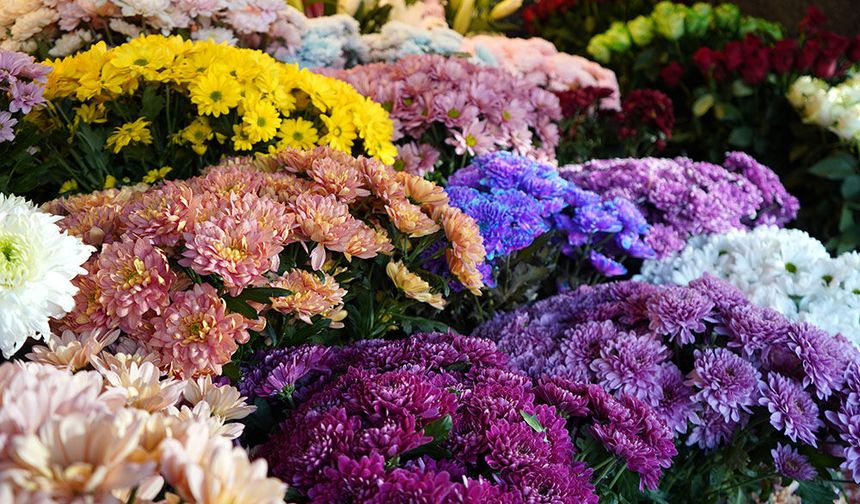 Kadınların en çok hemcinslerine çiçek gönderdiği özel gün; 8 Mart