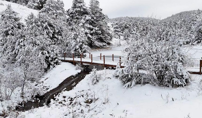 Kartpostallık kış manzarası büyüledi