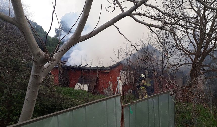 Pendik’de tek katlı ev alevlere teslim oldu
