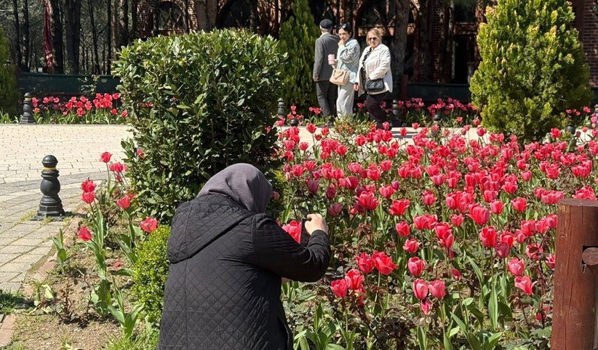 Lale mevsimi İstanbul’u sardı