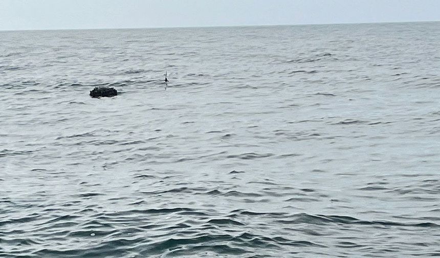 İğneada açıklarında tespit edilen mayın imha edildi