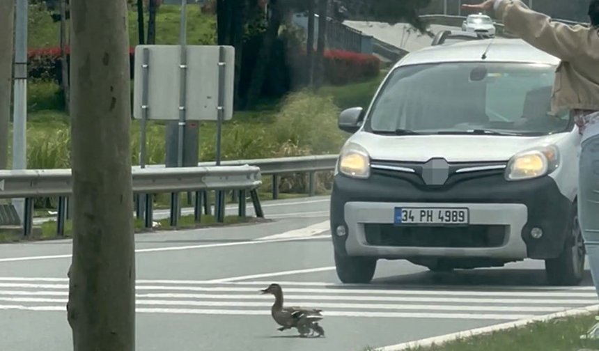 İstanbul trafiğinde yürek ısıtan anlar