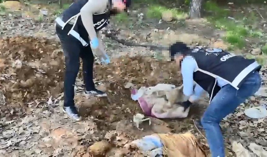 İstanbul’da büyük operasyon