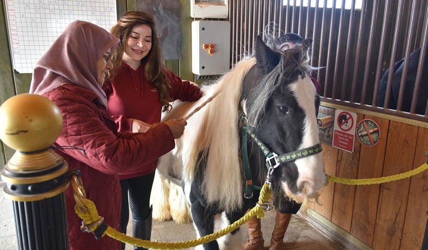 At üzerinde şifa: Pendik’te yaşlılara atlı terapi desteği