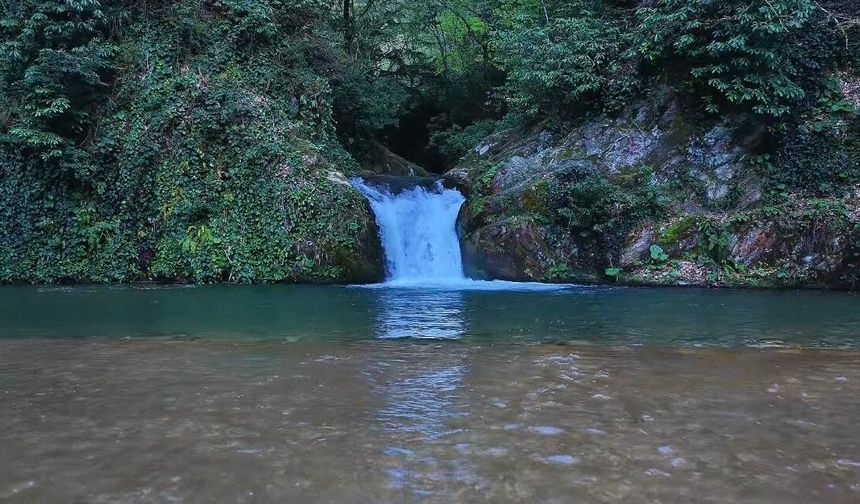 İstanbul'un yanı başındaki doğa harikası