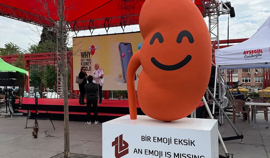 Türkiye'den dijital dünyaya çağrı: Böbrek sağlığının da emojisi olsun