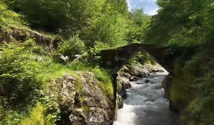 Çamaş Kanyonu ilgi odağı oluyor