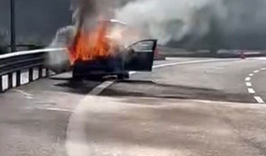 Kuzey Marmara Otoyolu'nda korkutan yangın