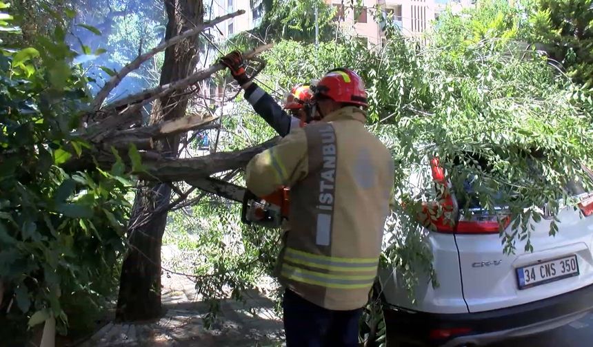 Kadıköy’de rüzgar nedeniyle kopan ağaç dalı otomobilin üzerine düştü