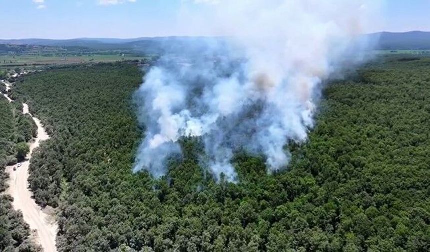 Çatalca Ormanlı’da orman yangını