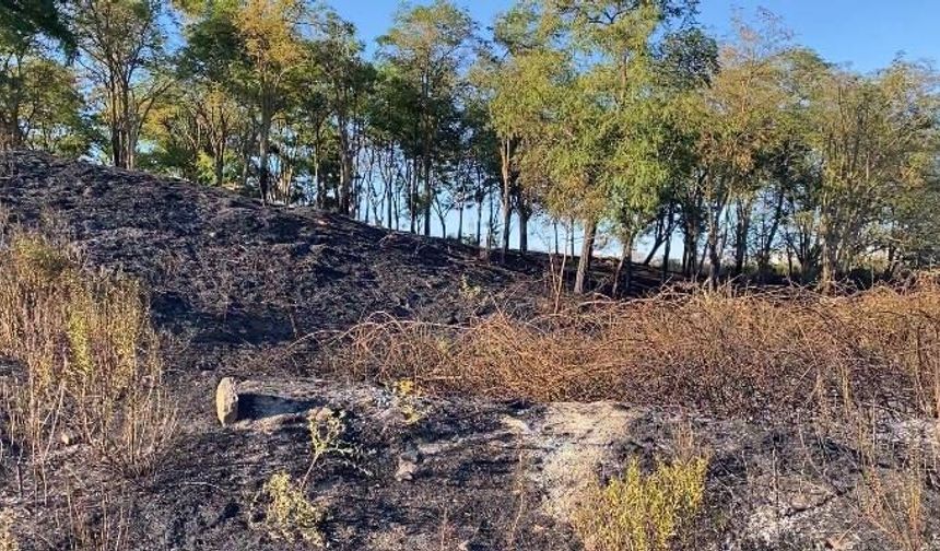 Başakşehir'de otluk alanda çıkan yangın söndürüldü