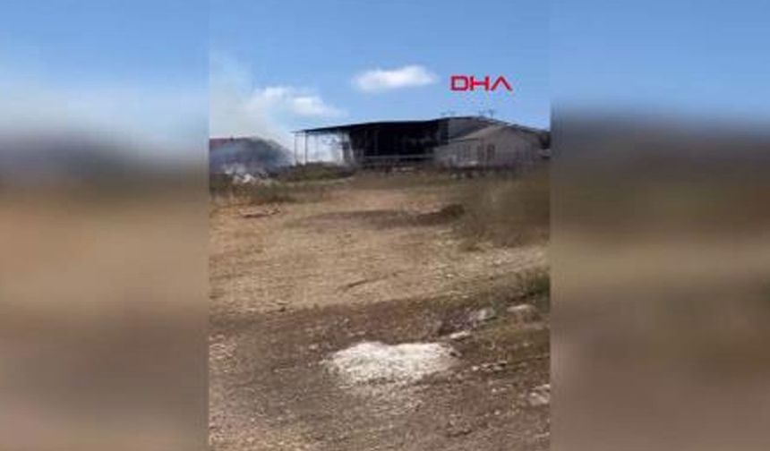 Çatalca'da otluk alanda yangın