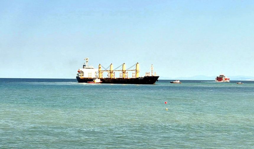 Tekirdağ açıklarında kuru yük gemisi karaya oturdu