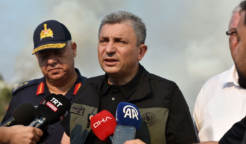 Rüzgar söndürme çalışmalarını zorlaştırıyor: Yangınla mücadele sürüyor