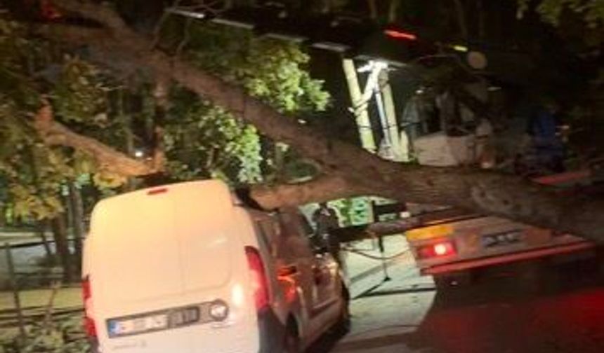 Sancaktepe’de fırtınada devrilen ağaç hafif ticari aracın üzerine düştü