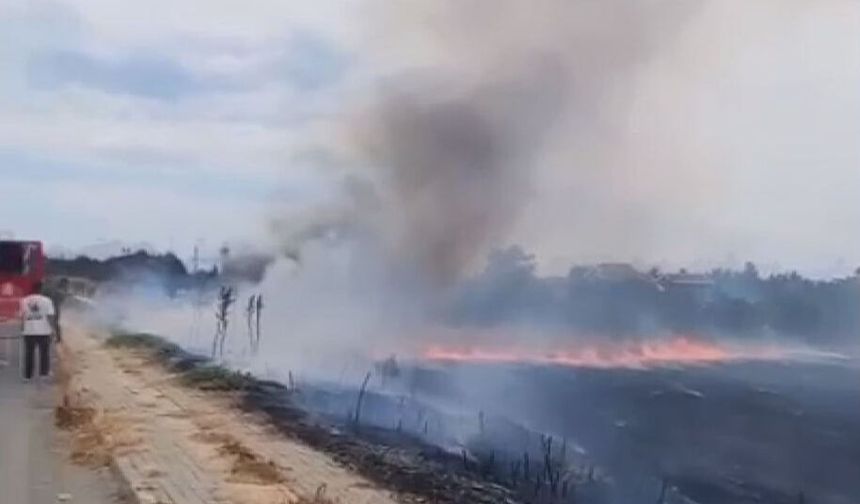Silivri'de otluk alanda çıkan yangın evlere sıçramadan söndürüldü