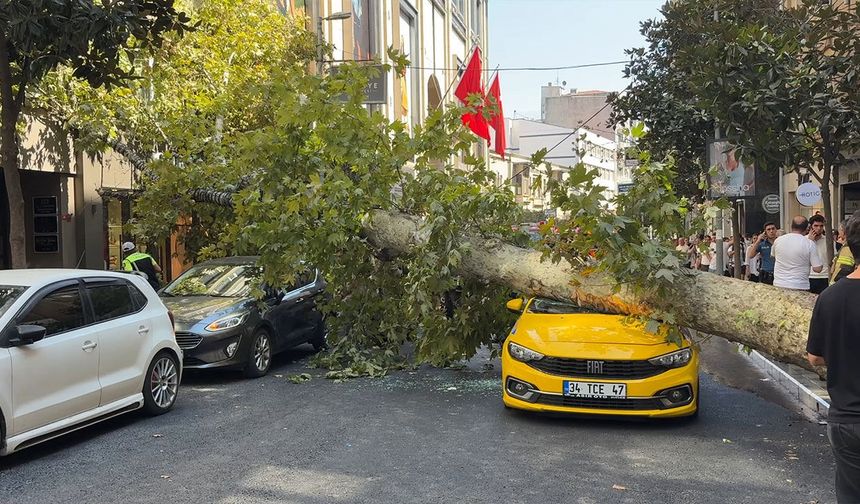 Şişli’de korkutan anlar: Devrilen ağaç 2 aracın üzerine düştü