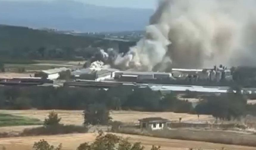 Bursa'da tavuk çiftliğinde yangın