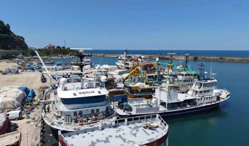 Balıkçılar 1 Eylül'deki yeni av sezonundan umutlu