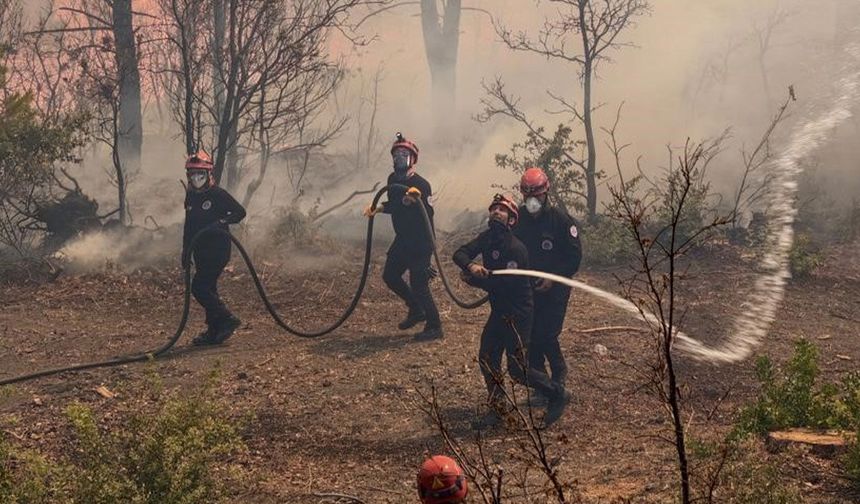 Kartal Belediyesi ekipleri orman yangını için seferber oldu