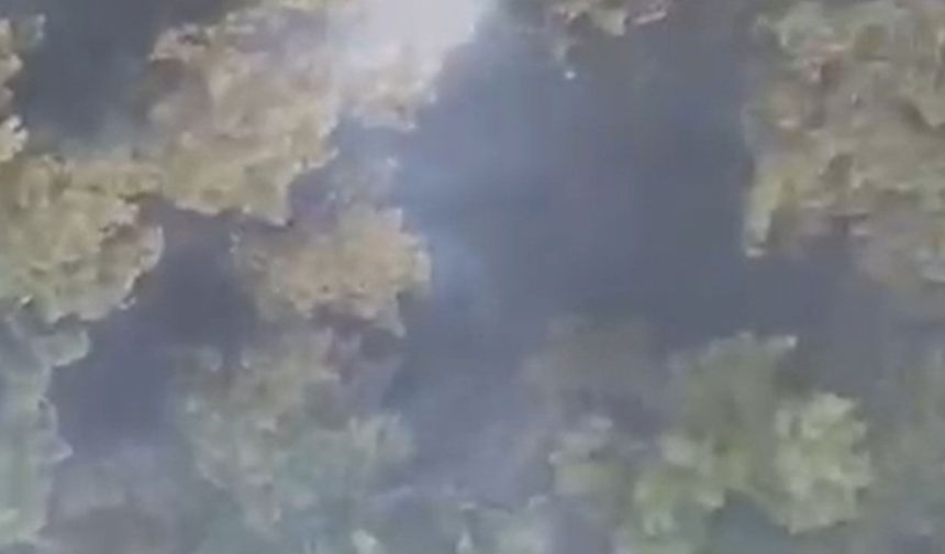 Sındırgı orman yangını 20'nci saate ulaştı