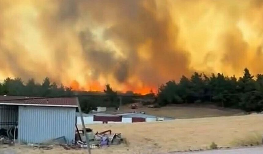 Çanakkale'de orman yangınlarının bilançosu ağır: 541 hektar zarar gördü