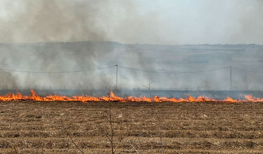 Silivri'de tarla yangınına havadan müdahale ediliyor