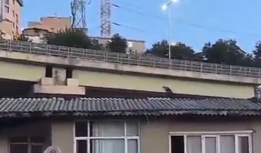Polise peş peşe asılsız ihbar yaptı: Cezası belli oldu