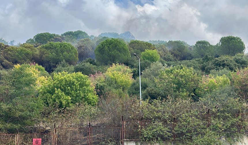 Maltepe’de yangın paniği: Alevler kışladaki ormanlık alana sıçradı