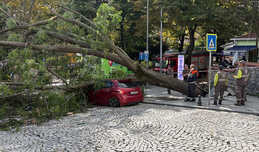 Şişli'de ağaç park halindeki otomobilin üzerine devrildi
