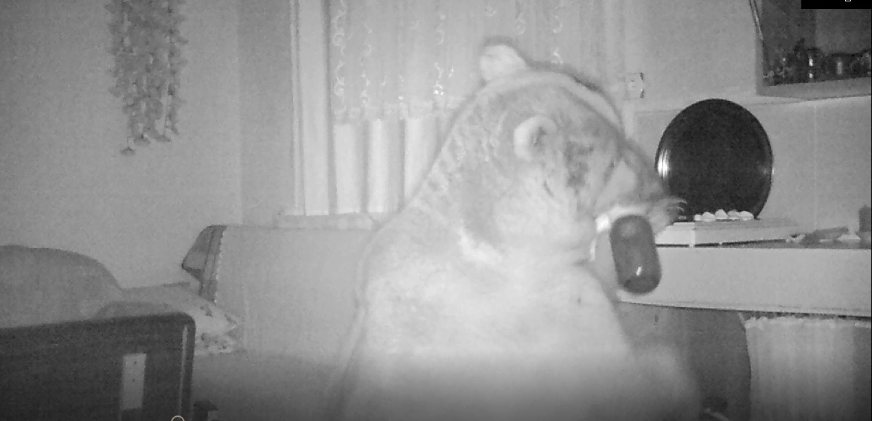 dev-ayi-evlere-girdi (3)