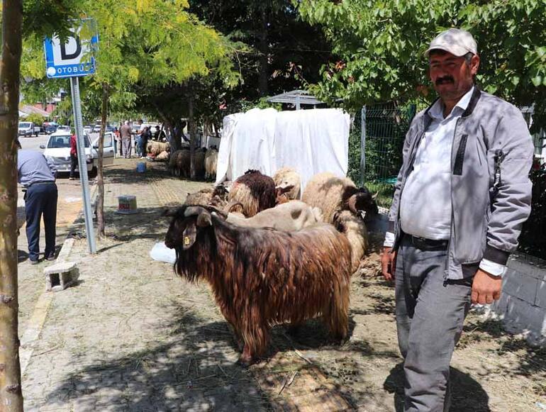 kurban-pazarlarindaki-fiyatlar-arife-gunune-gore-dusus-gösterdi (2)