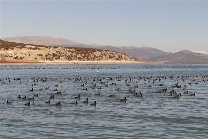 Turkiye De 131 Sulak Alan Koruma Altina Alindi 1738493359 271 Large