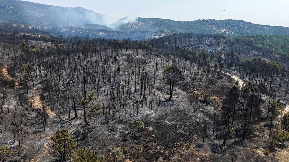 E S K I S E H I R D E C I K A N O R M A N Y A N G I N I 3 U N C U 831293 246341