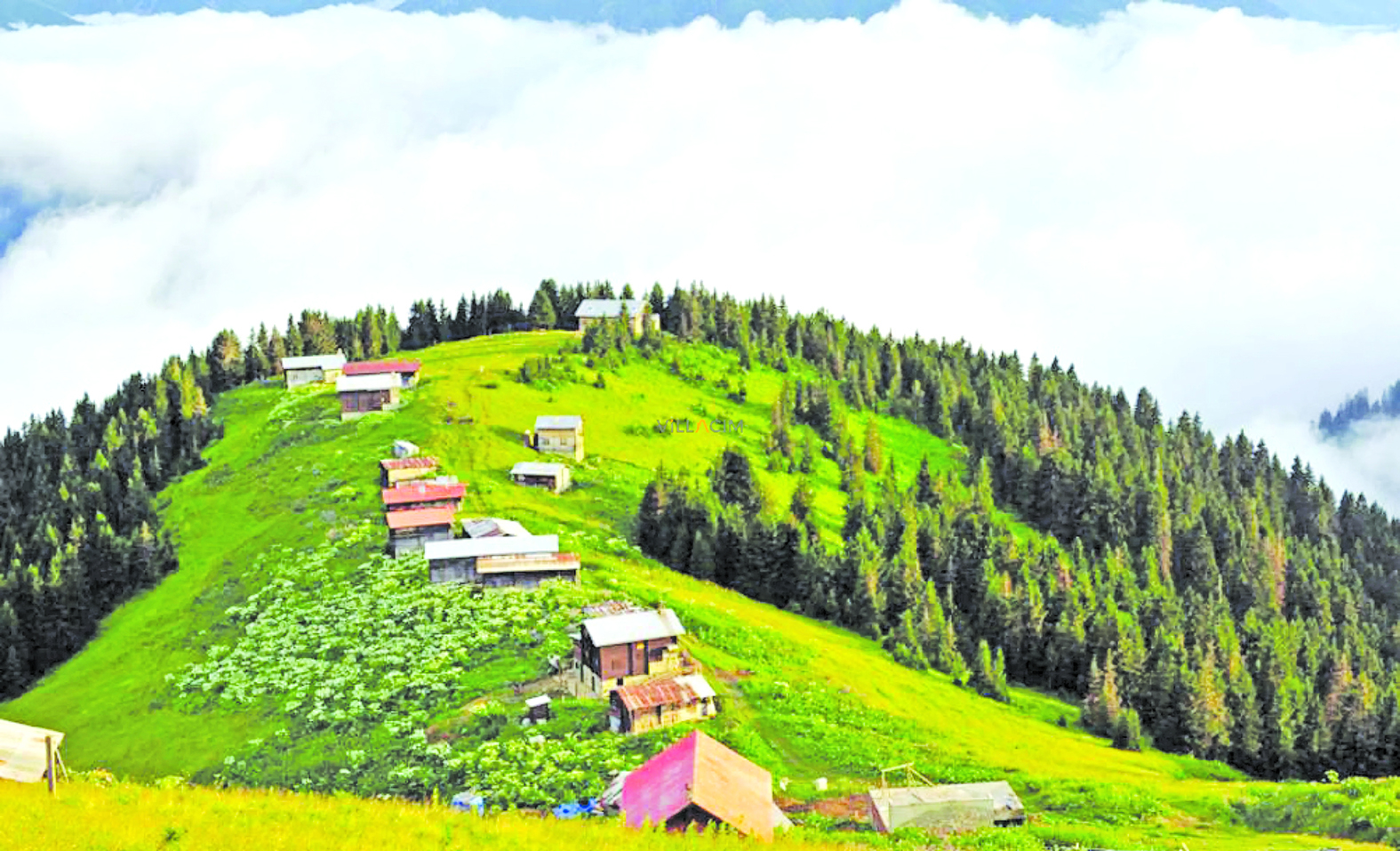 C╠Ğaml─▒Hems╠Ğin