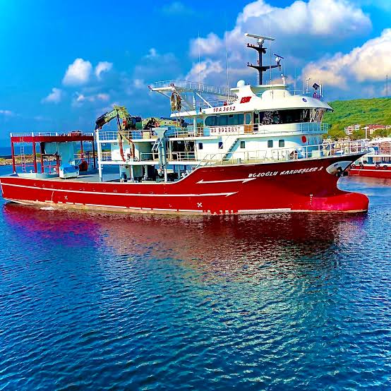 B A K A N U R A L O G L U B A L I K C I G E M I L E R I N E 18 M 915490 272019