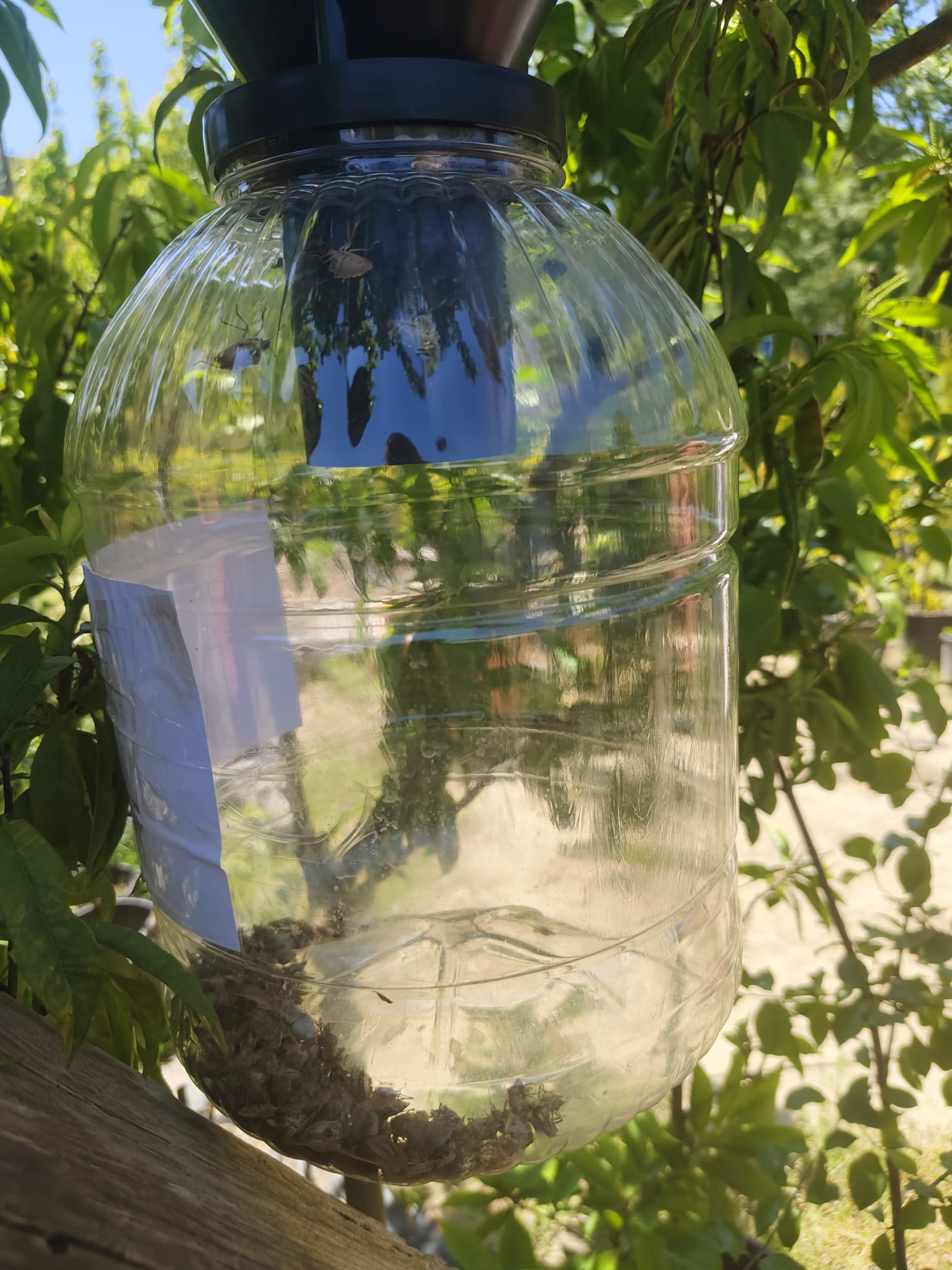 ISTAN BULI ISTAN BUL'DADAKA HVERENGIKOR 975138 289593