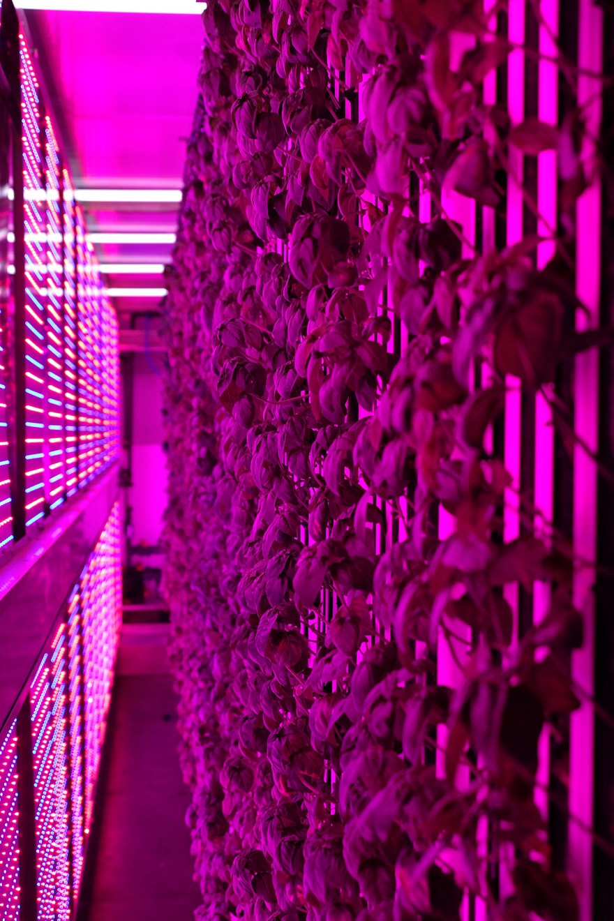 U N I V E R S I T E K A M P U S U N D E 7 B I N M E T R E K A R E Y E 1043936 309808