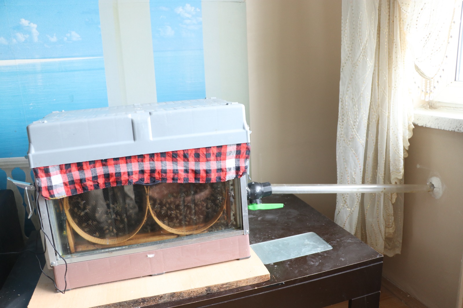 15 I N C I K A T T A K I E V I N I N O T U R M A O D A S I N A A R 1138016 337871