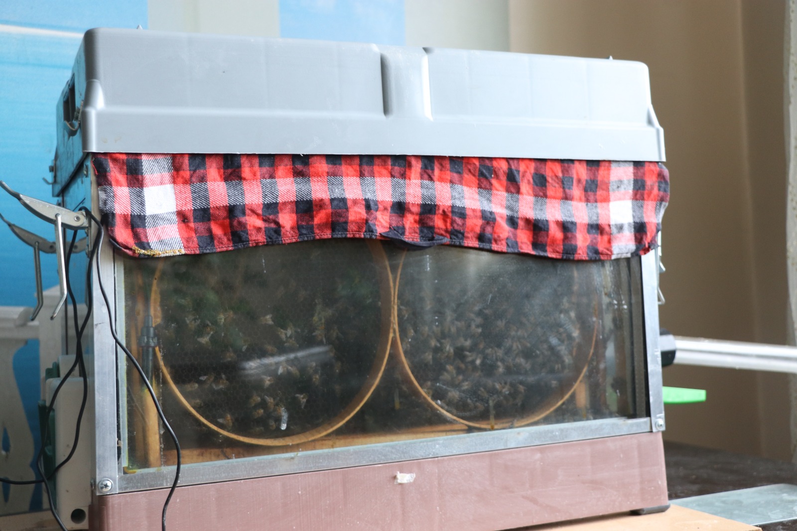 15 I N C I K A T T A K I E V I N I N O T U R M A O D A S I N A A R 1138017 337871