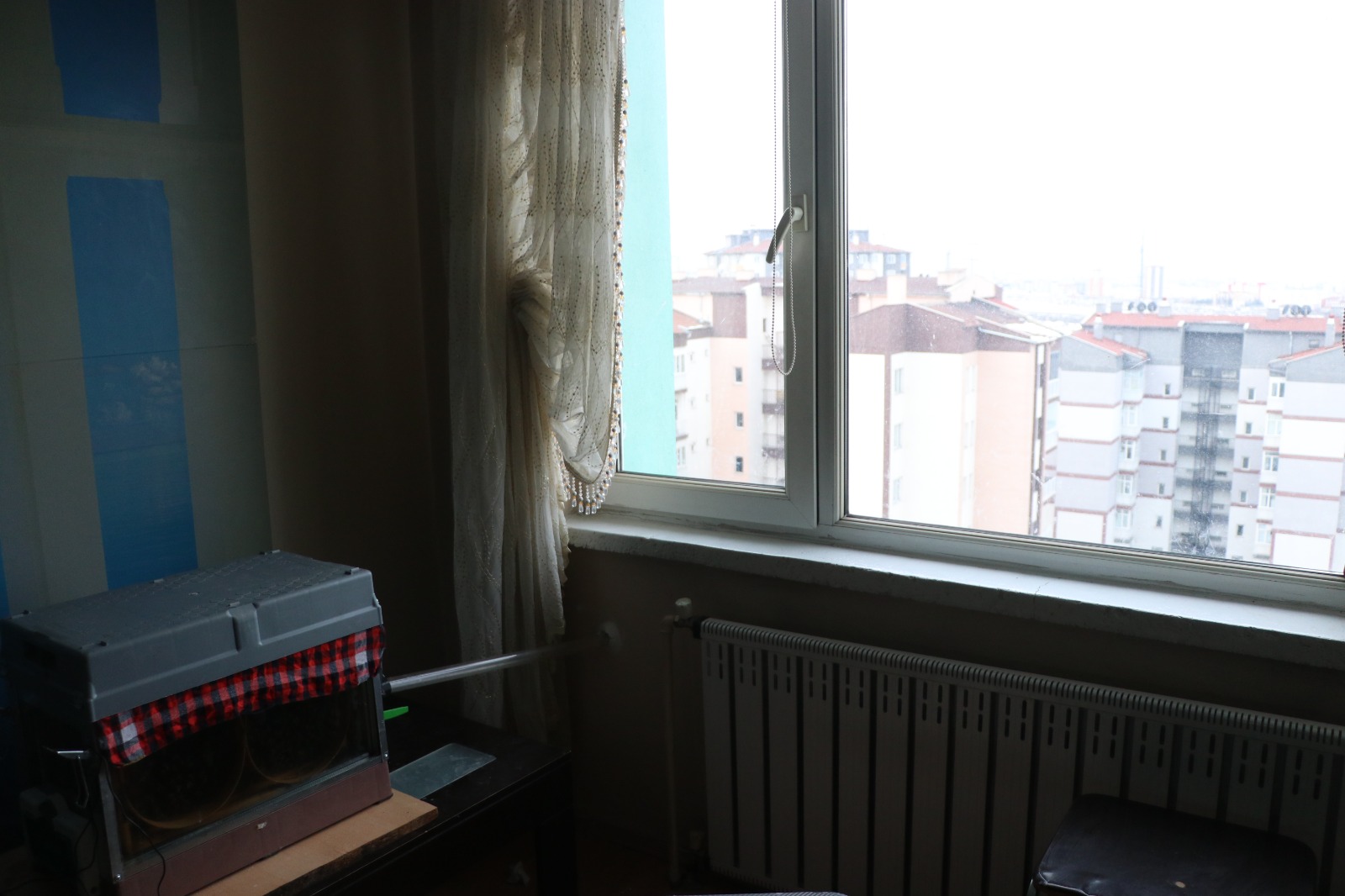 15 I N C I K A T T A K I E V I N I N O T U R M A O D A S I N A A R 1138020 337871